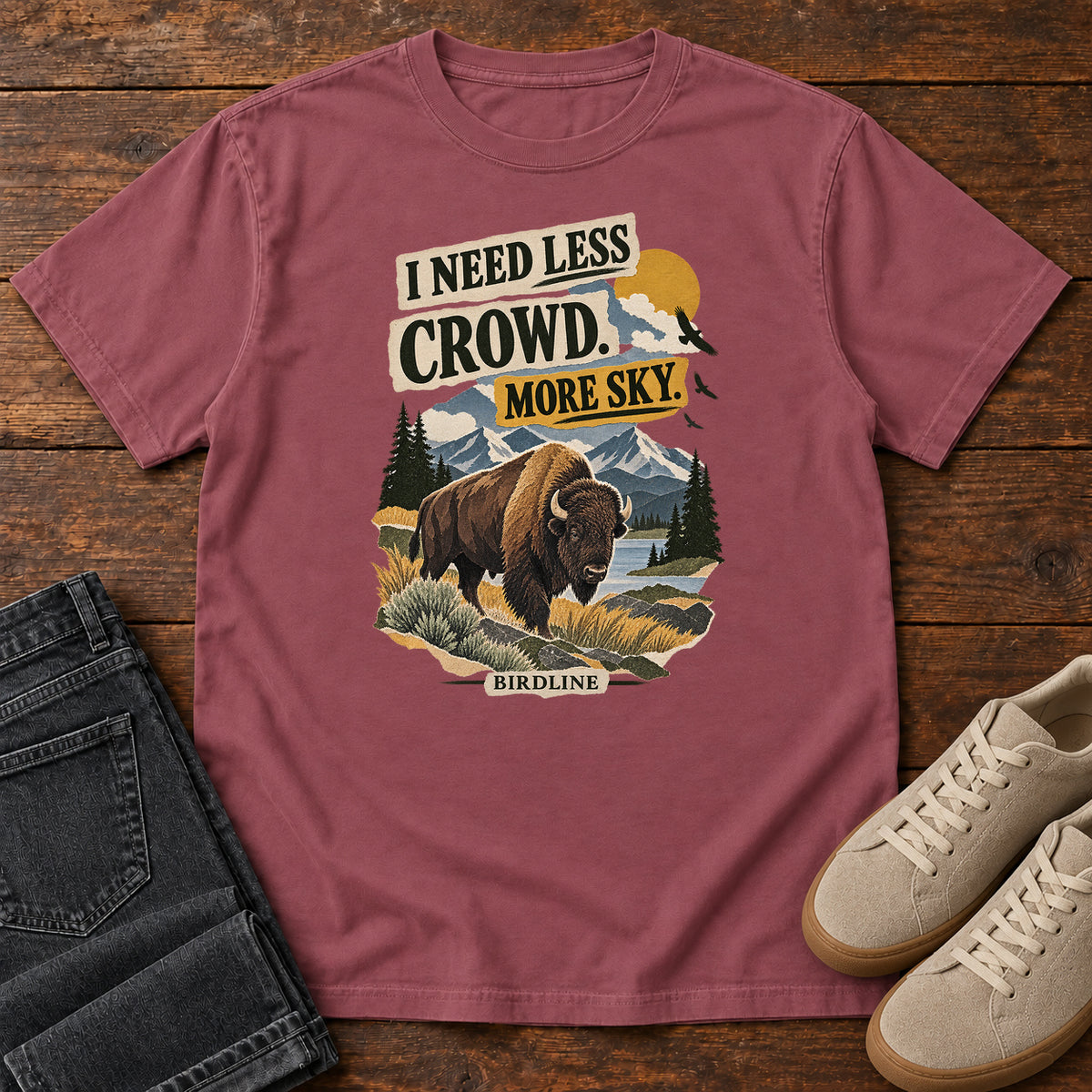 I Need Less Crowd More Sky Bison T-Shirt in Brick