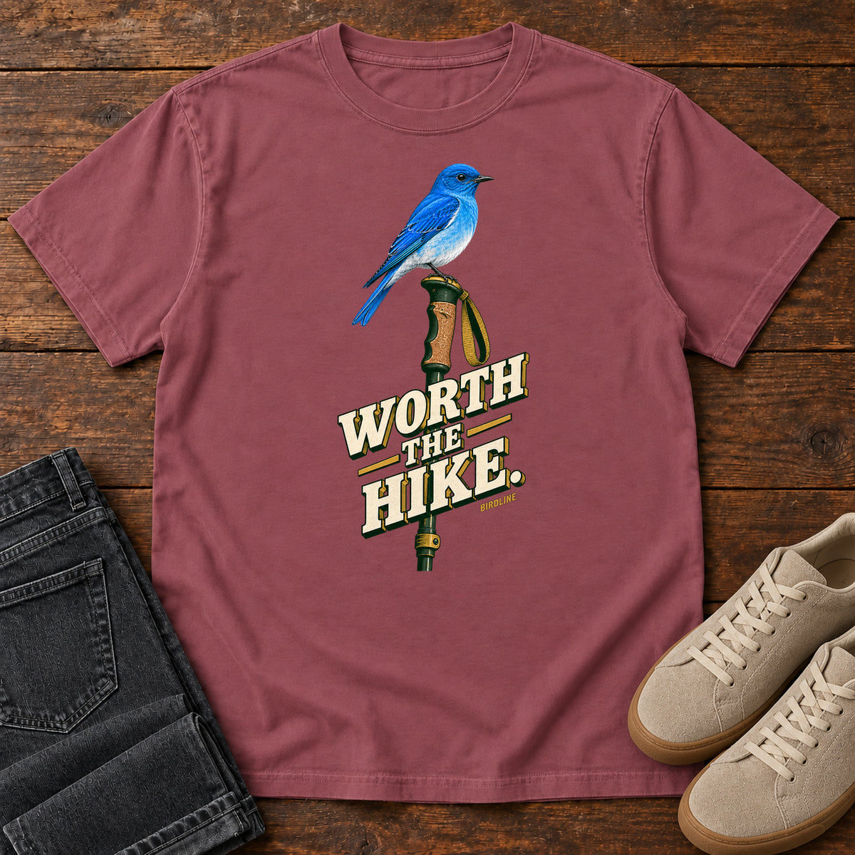 Worth the Hike Bluebird T-Shirt in Brick