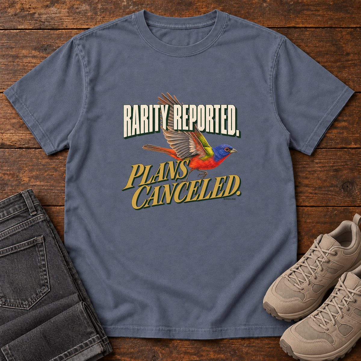 Rarity Reported Plans Cancelled T-Shirt in Denim