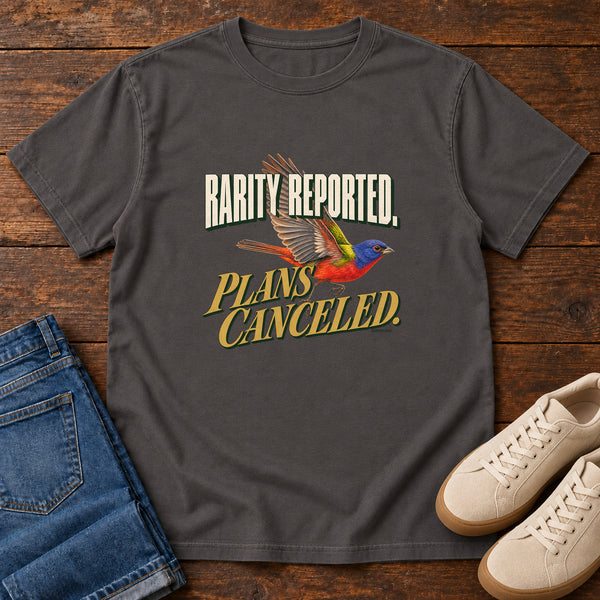 Rarity Reported Plans Cancelled T-Shirt in Graphite, front view