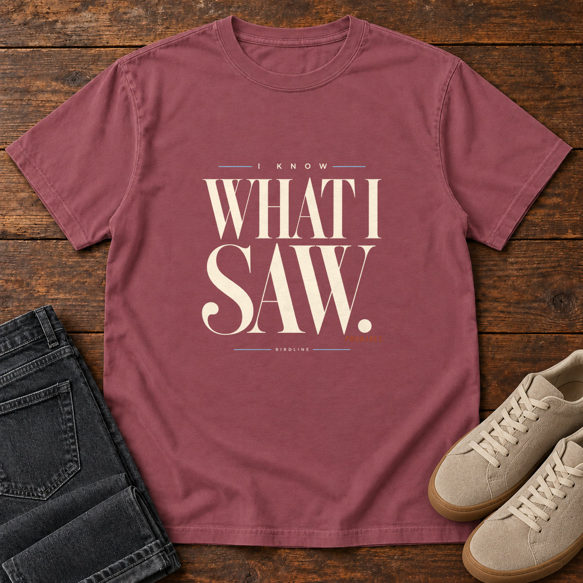 I Know What I Saw Probably T-Shirt in Brick