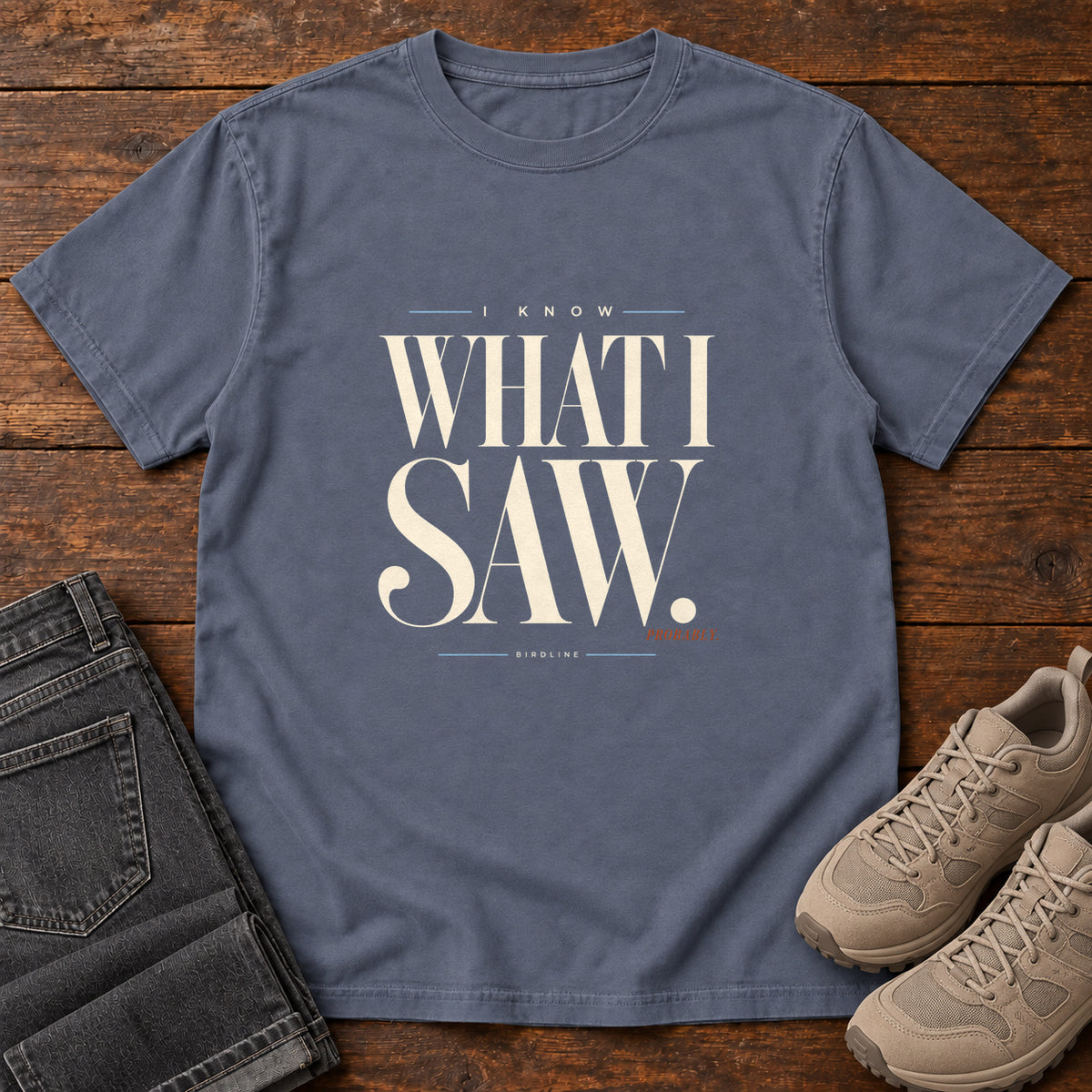 I Know What I Saw Probably T-Shirt in Denim
