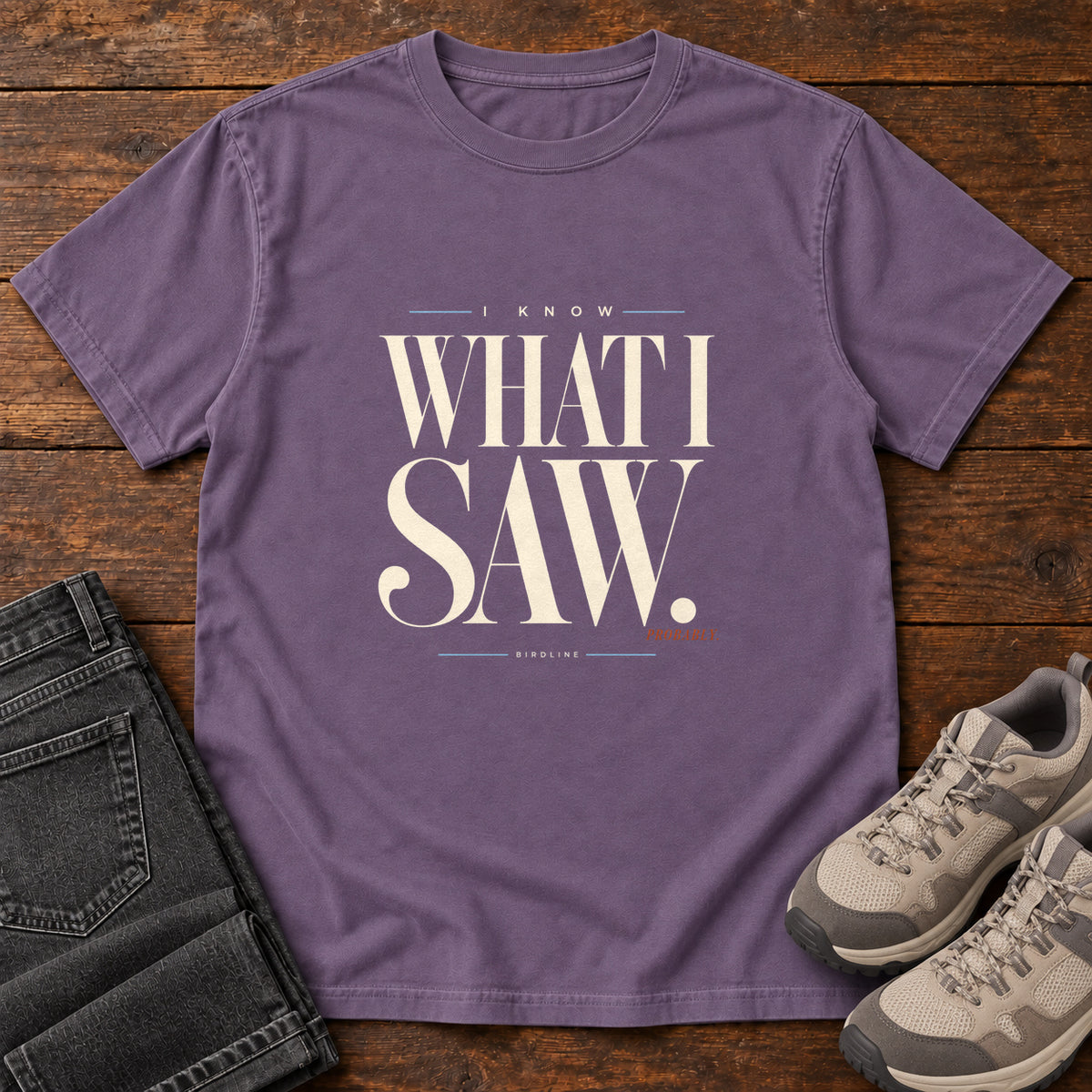 I Know What I Saw Probably T-Shirt in Grape