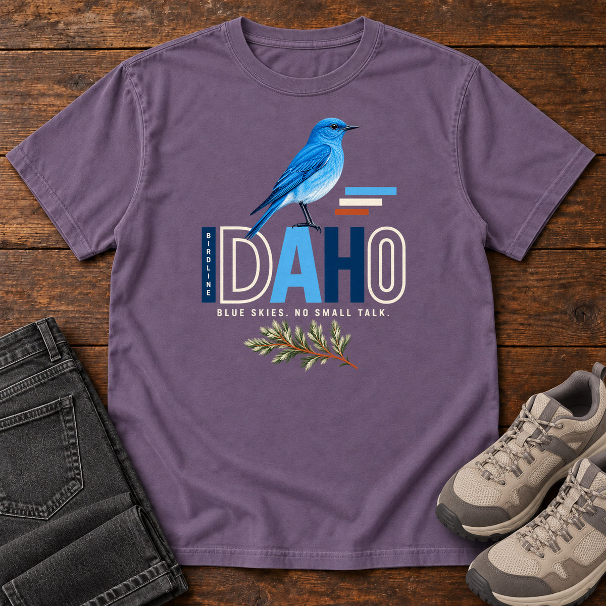 Idaho Blue Skies No Small Talk T-Shirt in Grape
