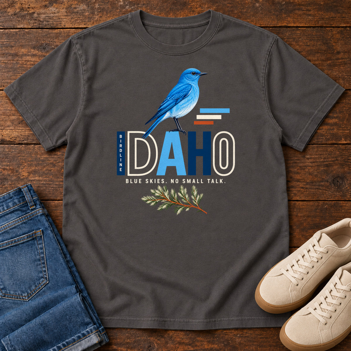 Idaho Blue Skies No Small Talk T-Shirt in Graphite