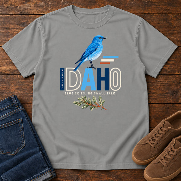 Idaho Blue Skies No Small Talk T-Shirt in Grey, front view
