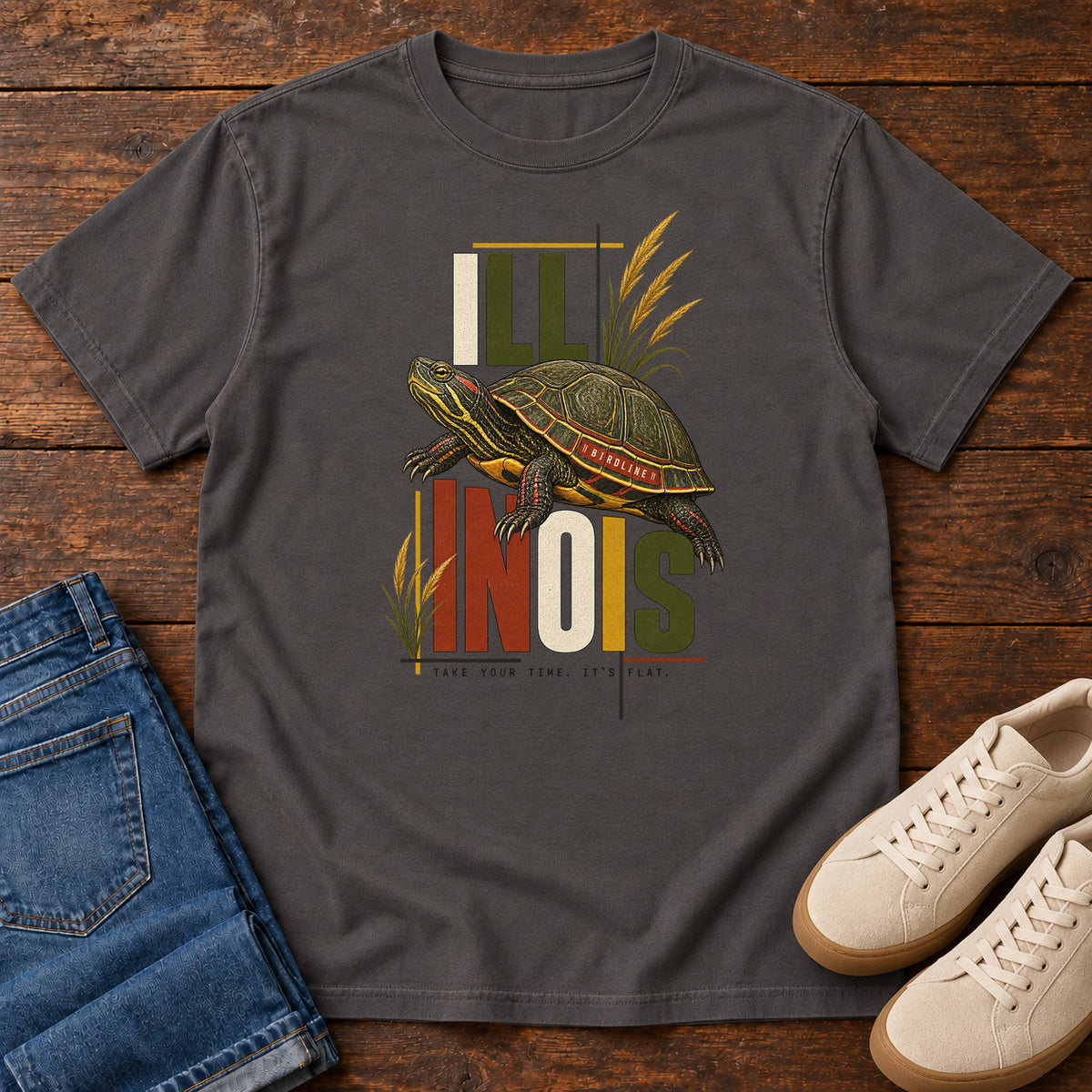 Illinois Take Your Time Turtle T-Shirt in Graphite