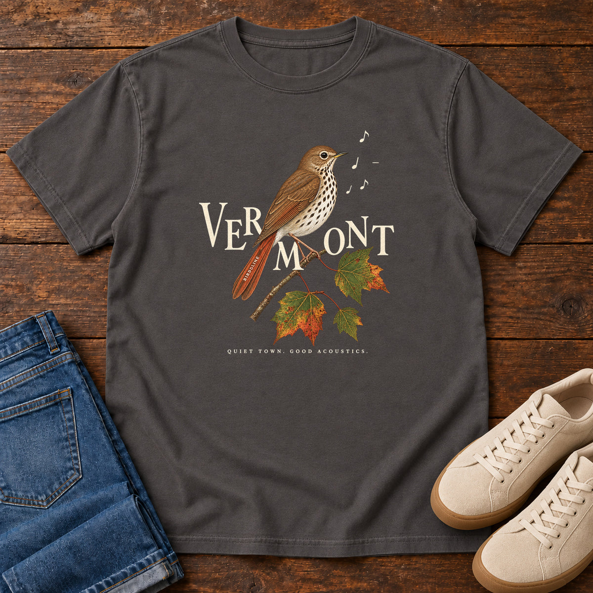 Vermont Quiet Town Good Acoustics Thrush T-Shirt in Graphite