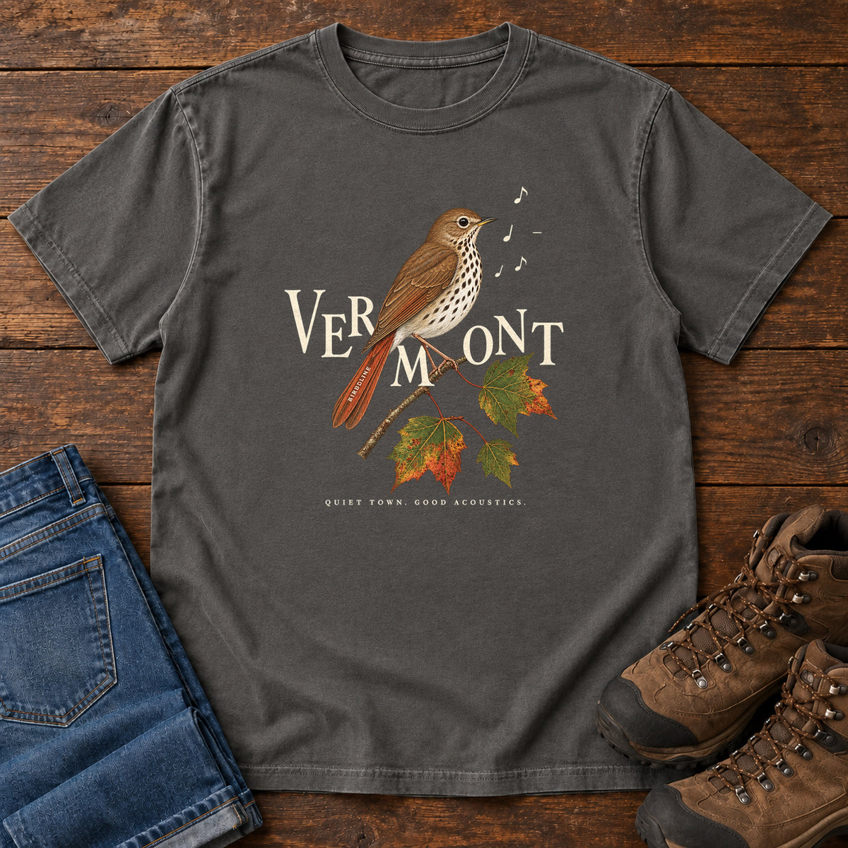 Vermont Quiet Town Good Acoustics Thrush T-Shirt in Pepper
