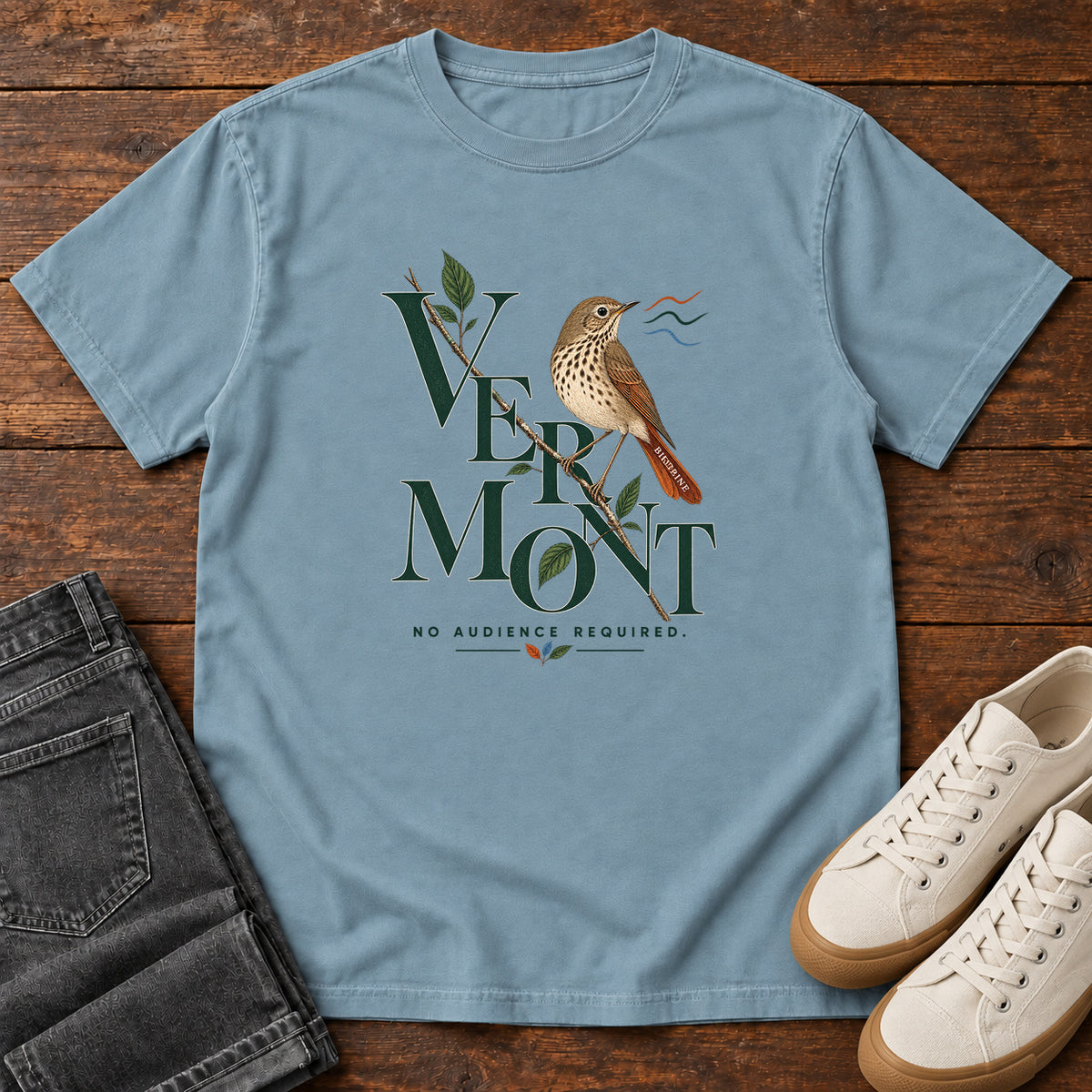 Vermont No Audience Required Thrush T-Shirt in Ice Blue
