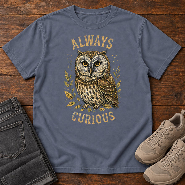 Always Curious T-shirt in Denim, front view