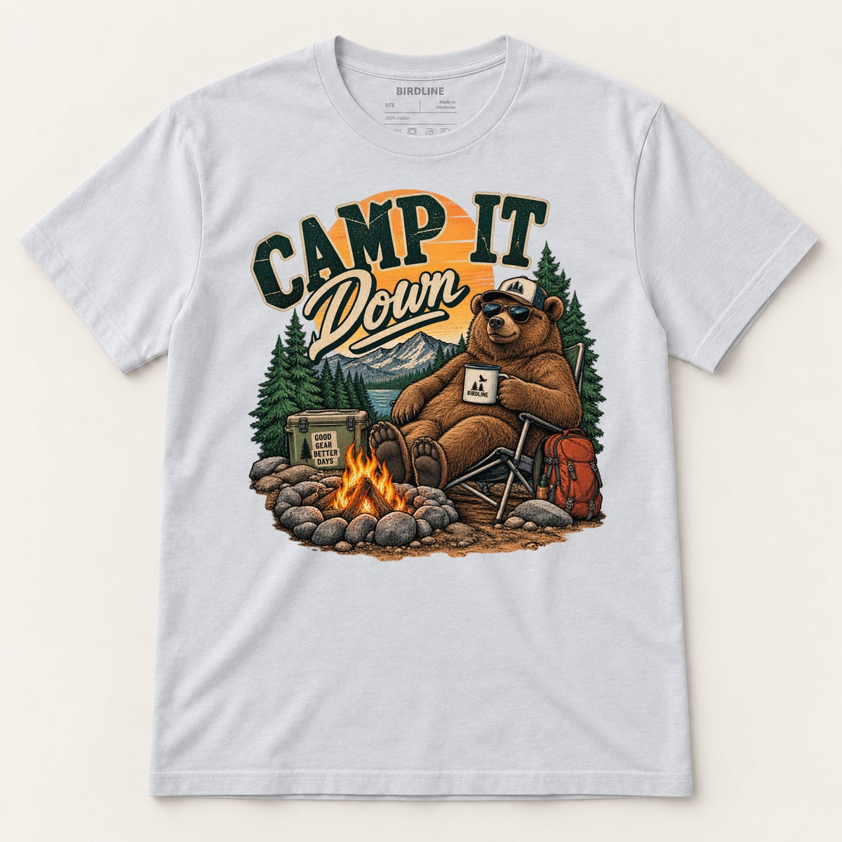 Camp It Down Campfire Bear T-Shirt in Ice Grey, front view