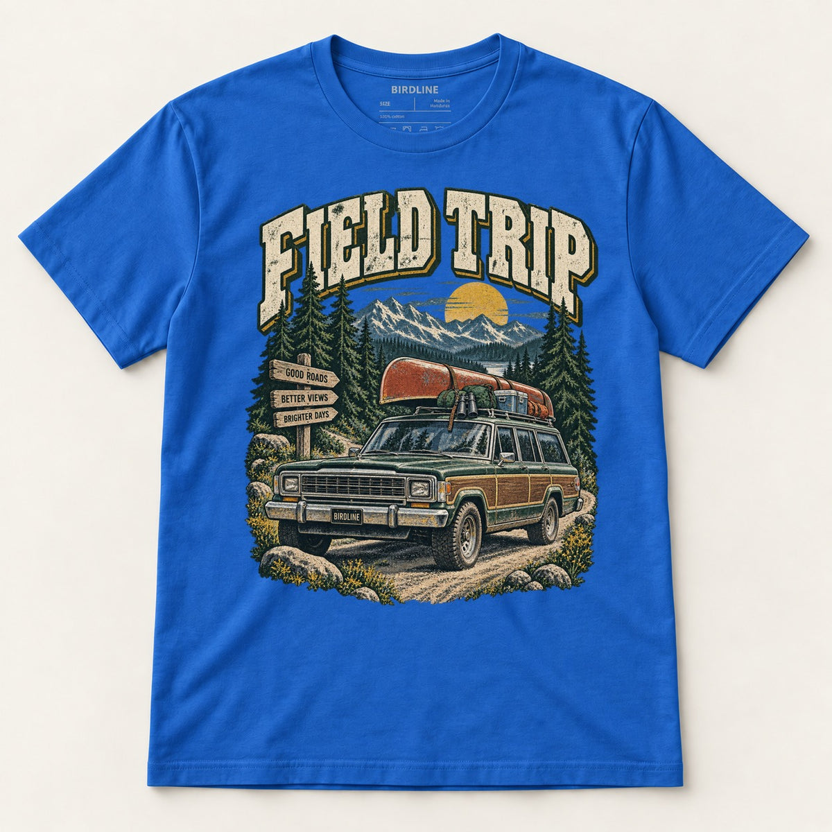 Field Trip T-Shirt in Royal, front view