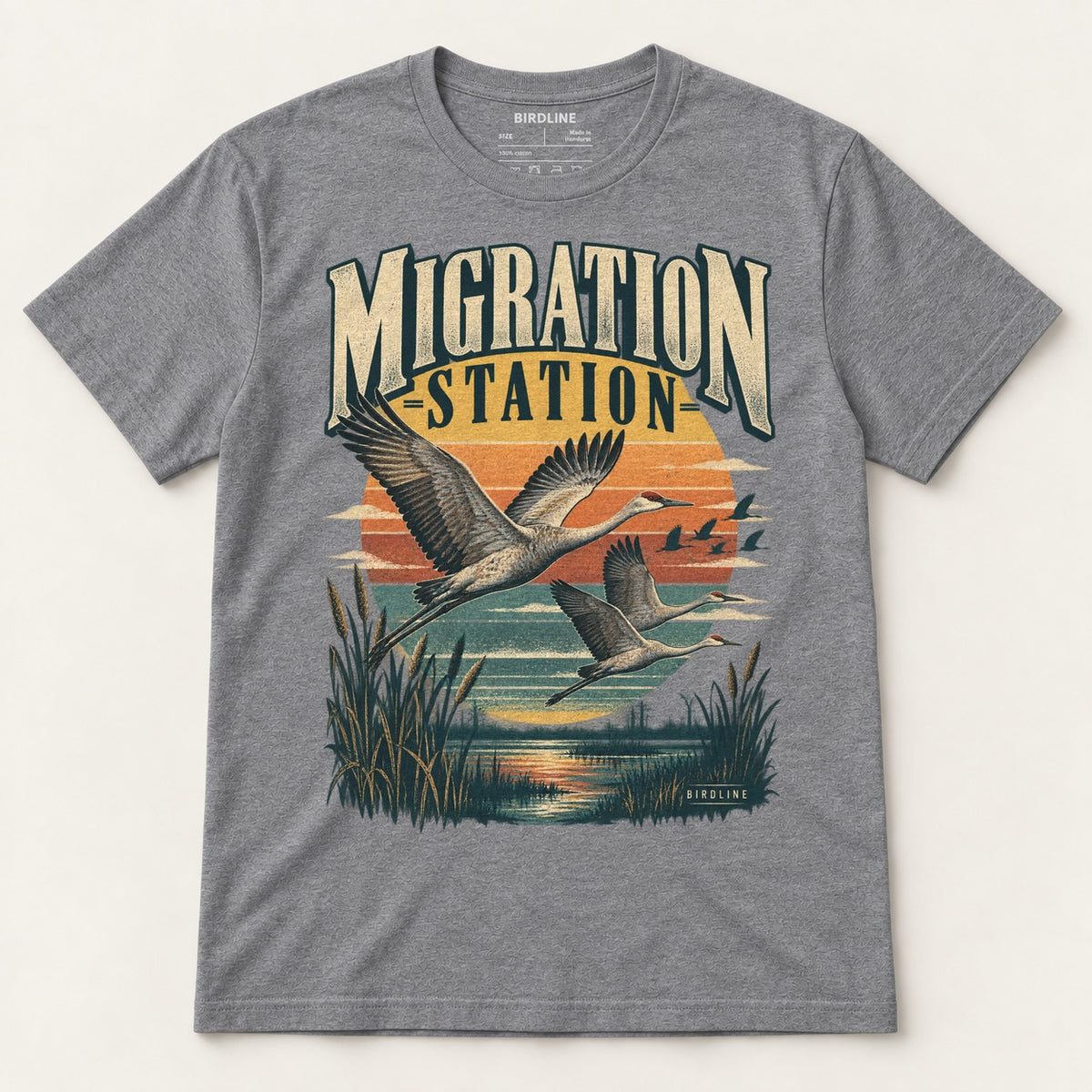 Migration Station T-Shirt in Graphite Heather, front view