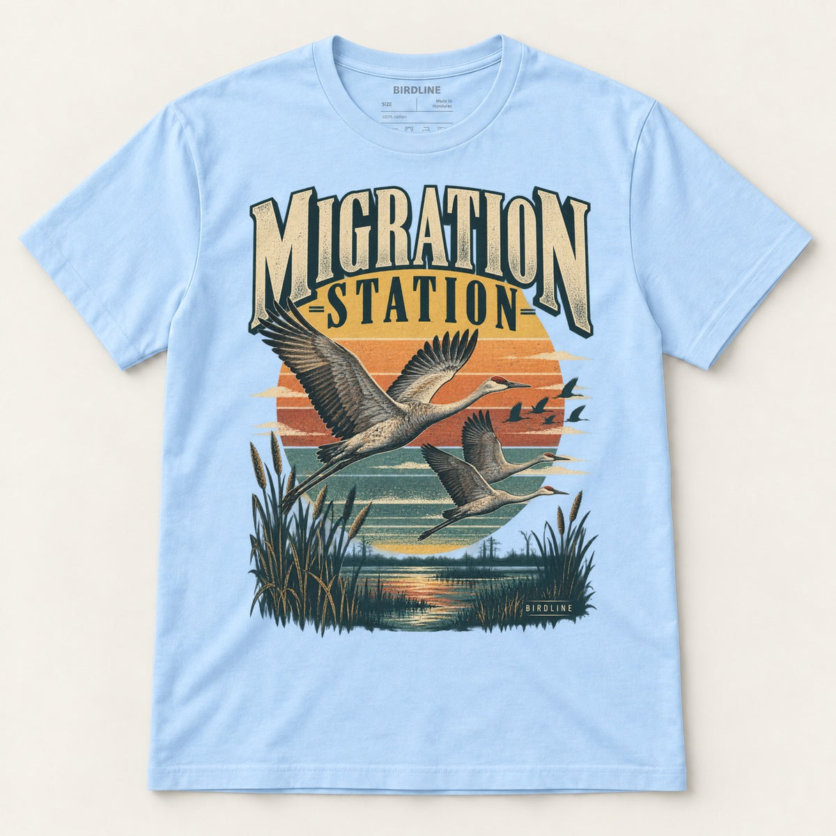 Migration Station T-Shirt in Light Blue, front view
