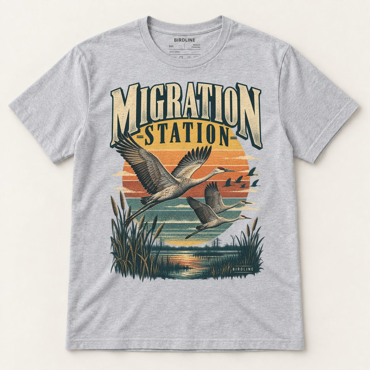 Migration Station T-Shirt in Sport Grey, front view
