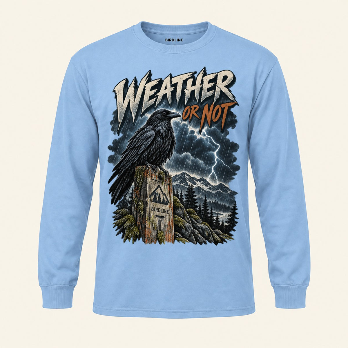 Weather Or Not Long Sleeve Shirt in Light Blue, front view