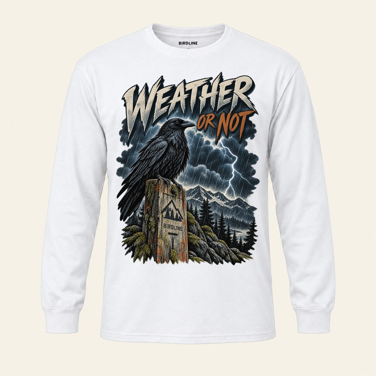Weather Or Not Long Sleeve Shirt in White, front view