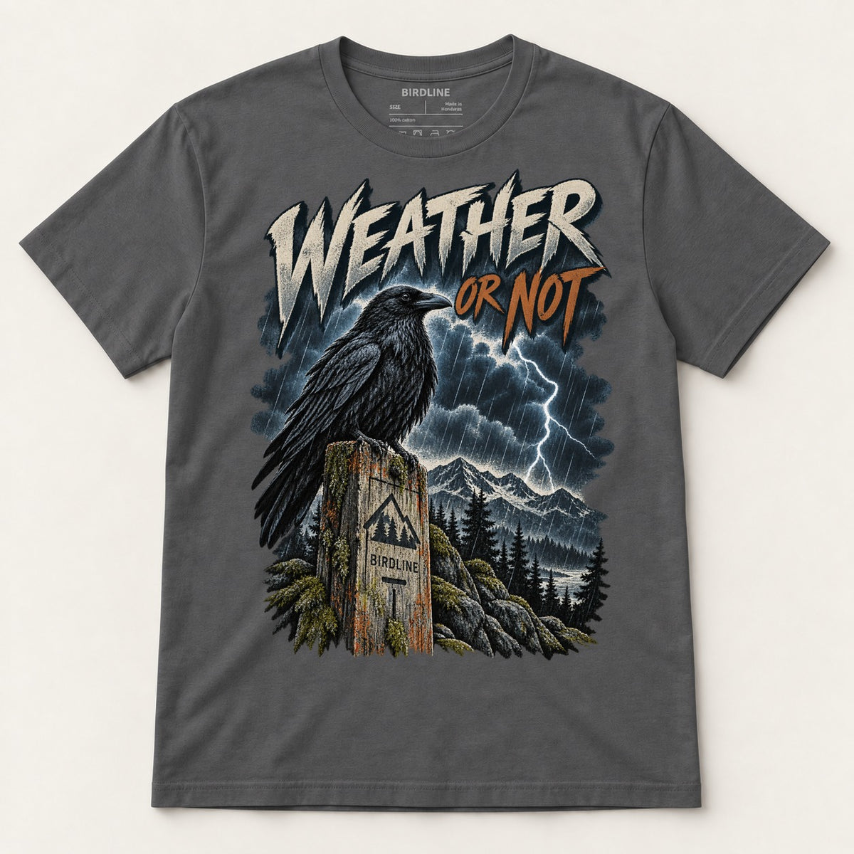 Weather Or Not T-Shirt in Charcoal, front view
