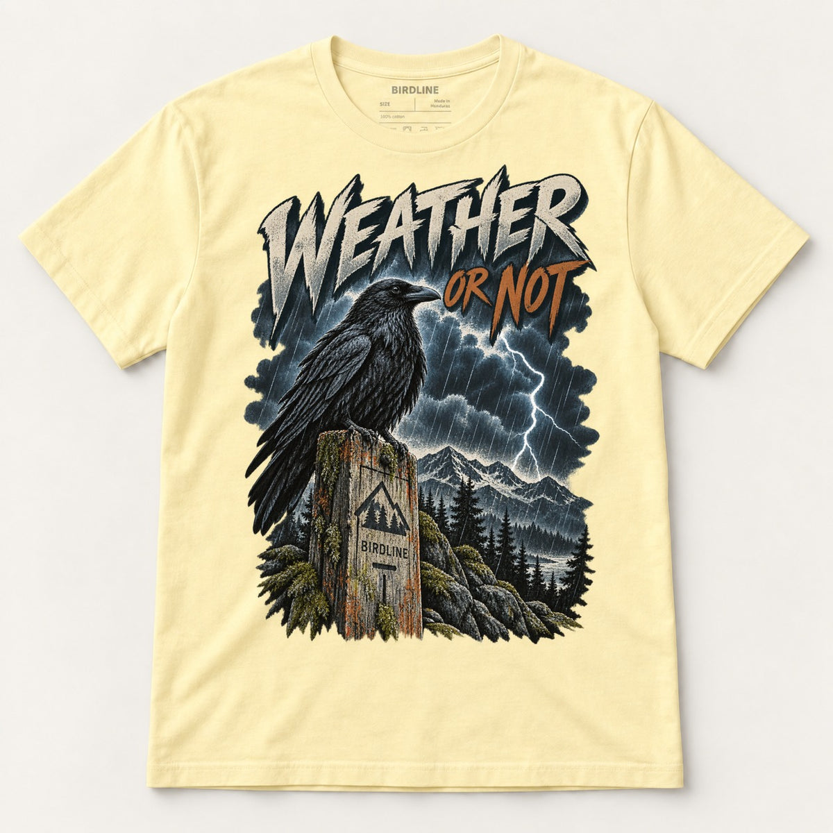 Weather Or Not T-Shirt in Cornsilk, front view