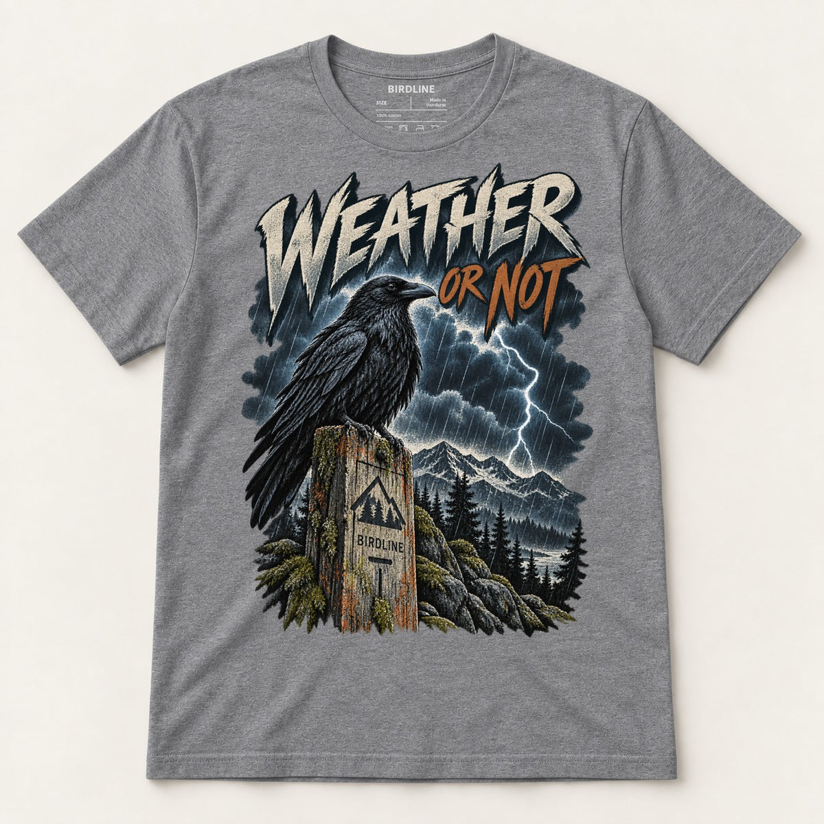Weather Or Not T-Shirt in Graphite Heather, front view