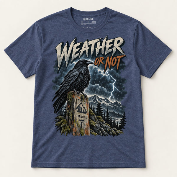 Weather Or Not T-Shirt in Heather Navy, front view