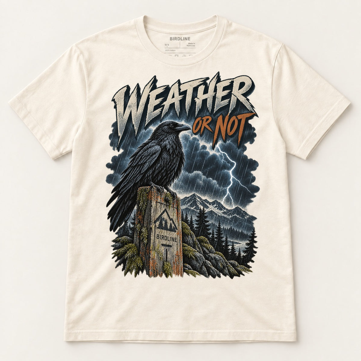 Weather Or Not T-Shirt in Natural, front view