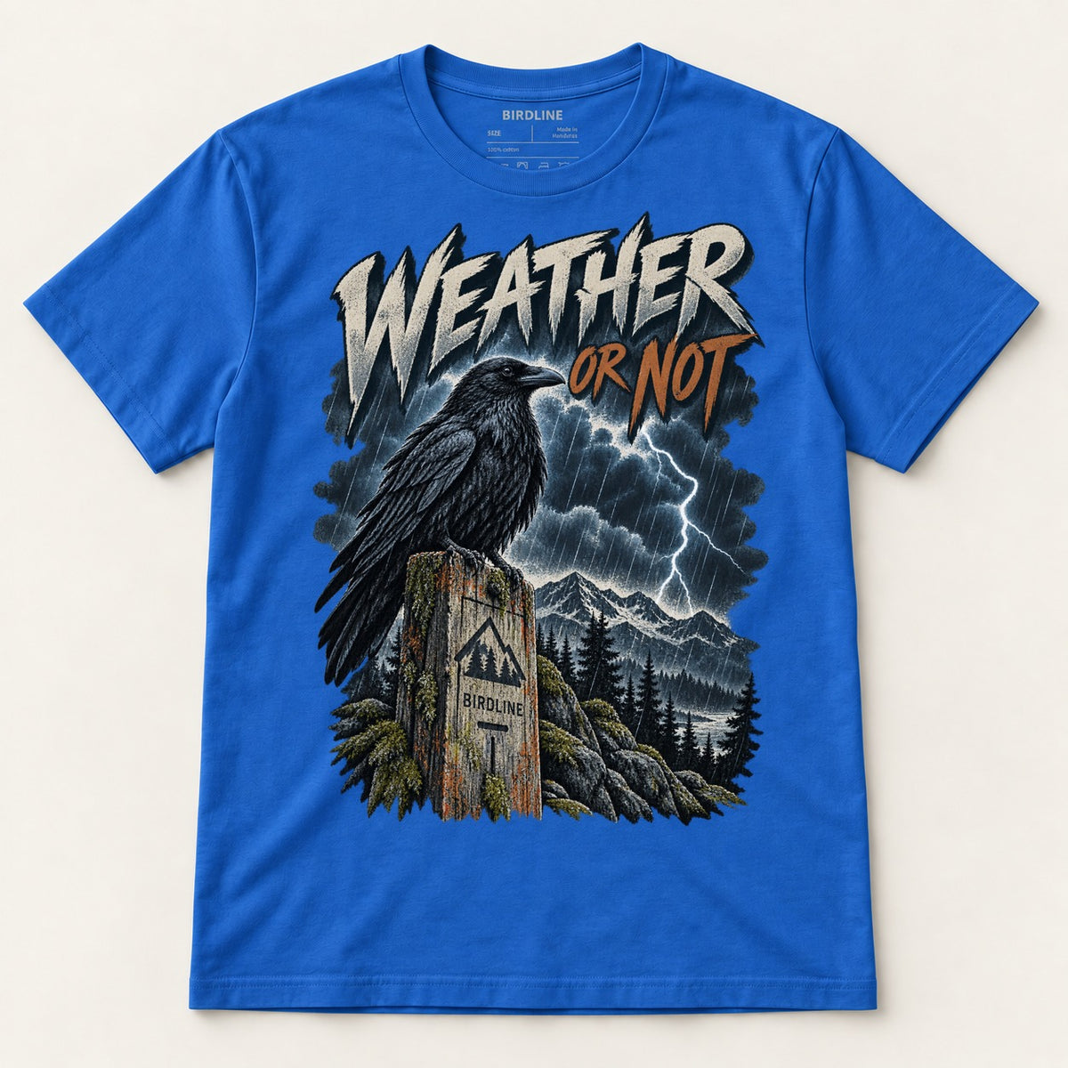Weather Or Not T-Shirt in Royal, front view