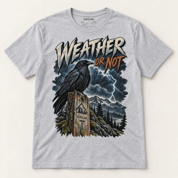 Weather Or Not T-Shirt in Sport Grey, front view