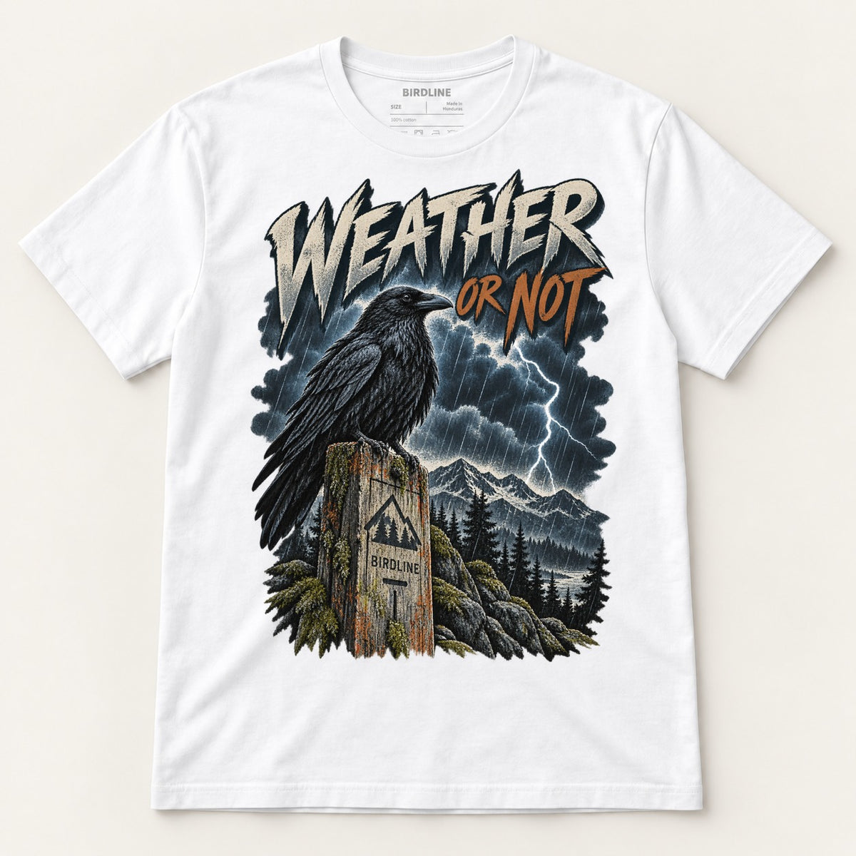 Weather Or Not T-Shirt in White, front view