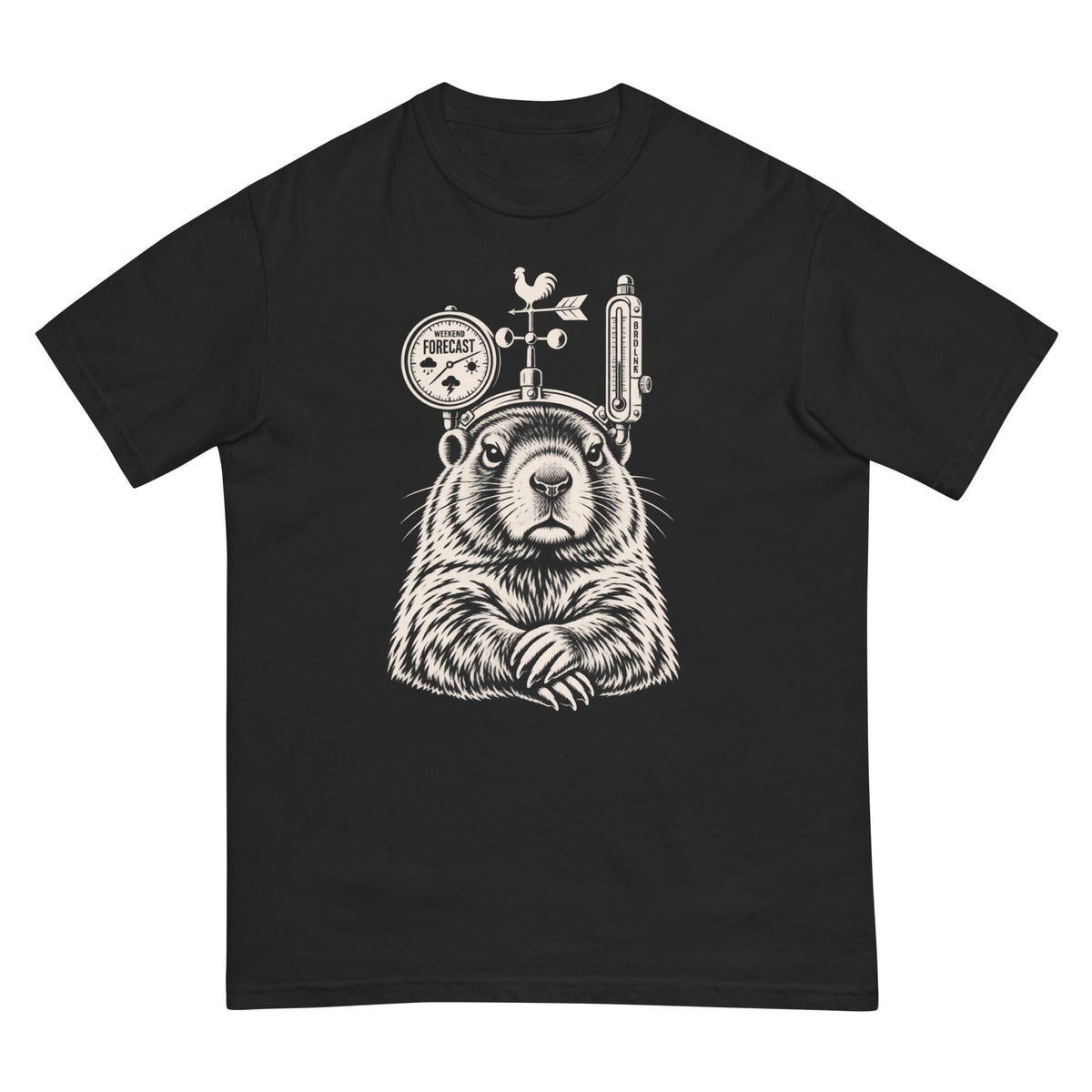Weather Forecast Marmot T-Shirt premium-quality garment detail
