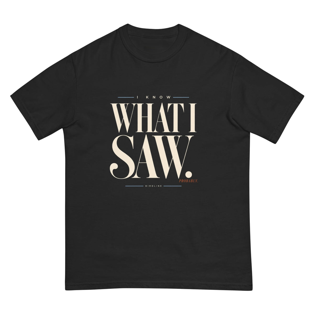 I Know What I Saw Probably T-Shirt premium-quality garment detail
