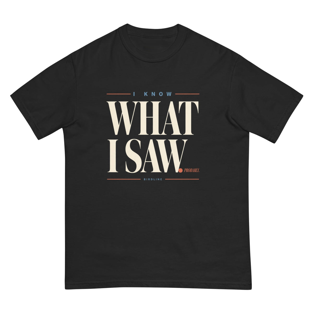I Know What I Saw Variant T-Shirt premium-quality garment detail