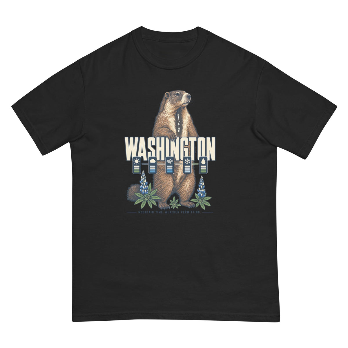Washington Mountain Time Weather Permitting Marmot T-Shirt premium-quality garment detail
