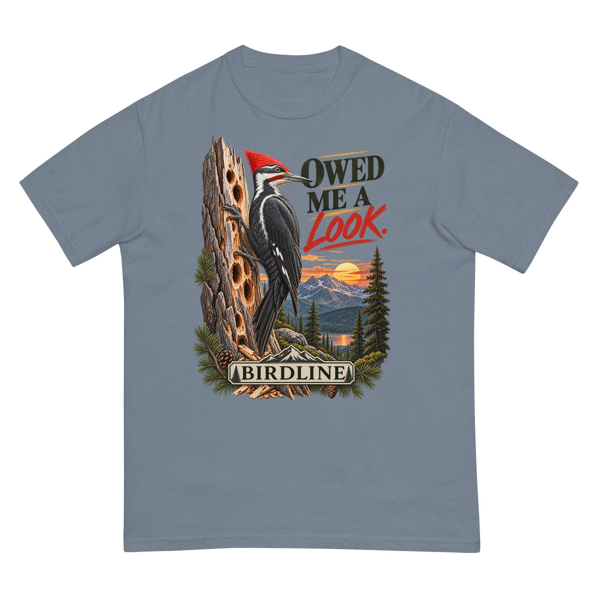 Owed Me a Look T-Shirt premium-quality garment detail
