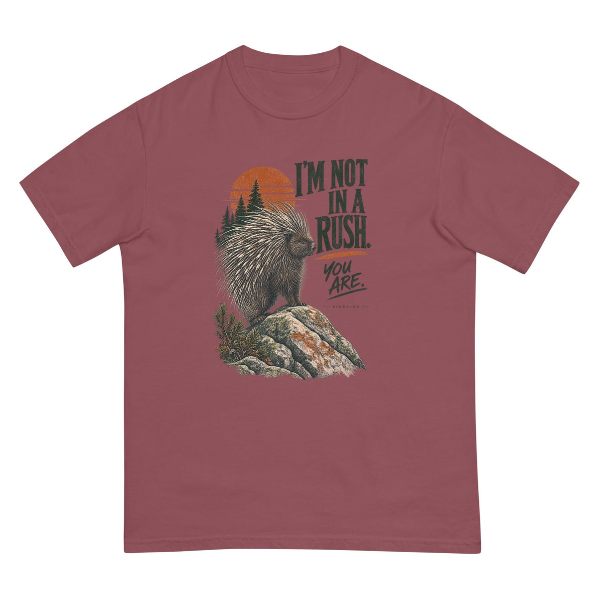 I'm Not in a Rush You Are Porcupine T-Shirt premium-quality garment detail
