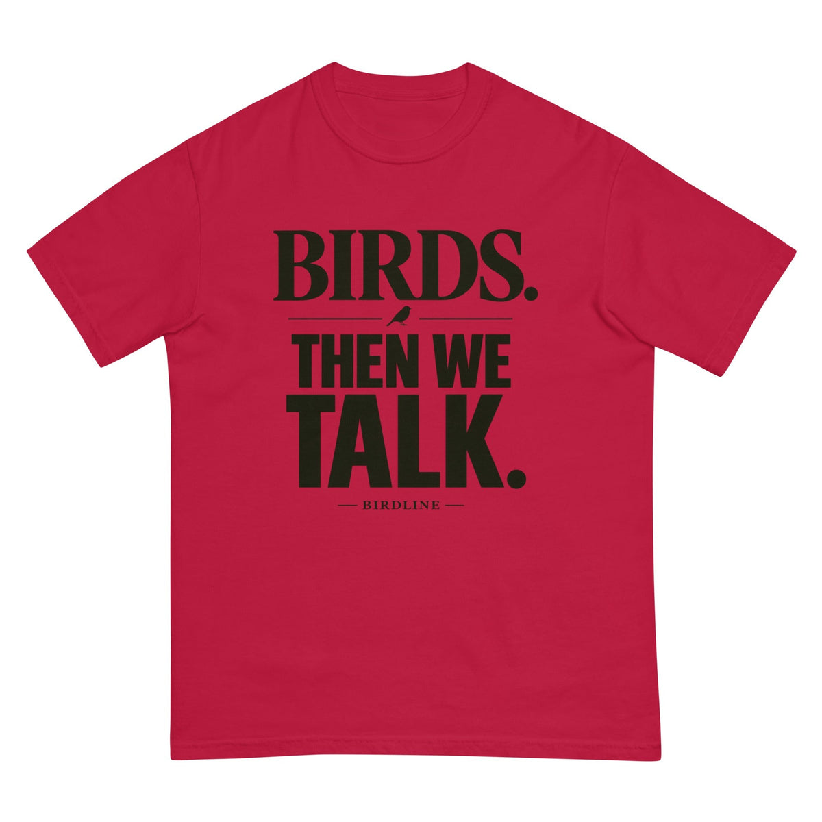 Birds Then We Talk T-Shirt premium-quality garment detail