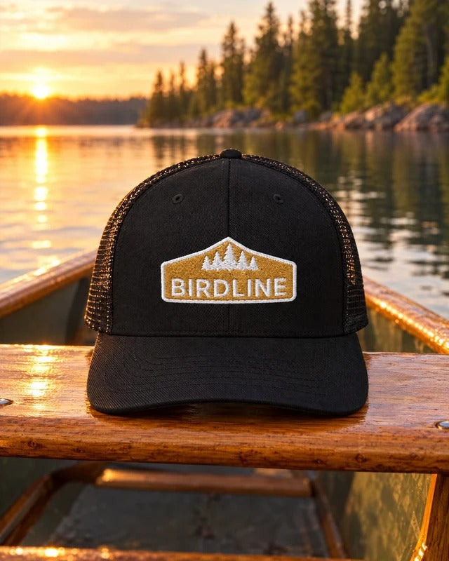Birdline Golden Treeline Trucker Hat in Black on a canoe seat at a lake at sunset