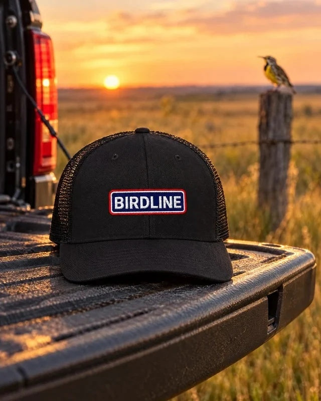 Birdline Heritage Bar Trucker Hat in Black on a pickup tailgate at sunset, with a meadowlark on a fence post
